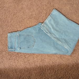 Aritzia Sunday Best Baggy Jeans